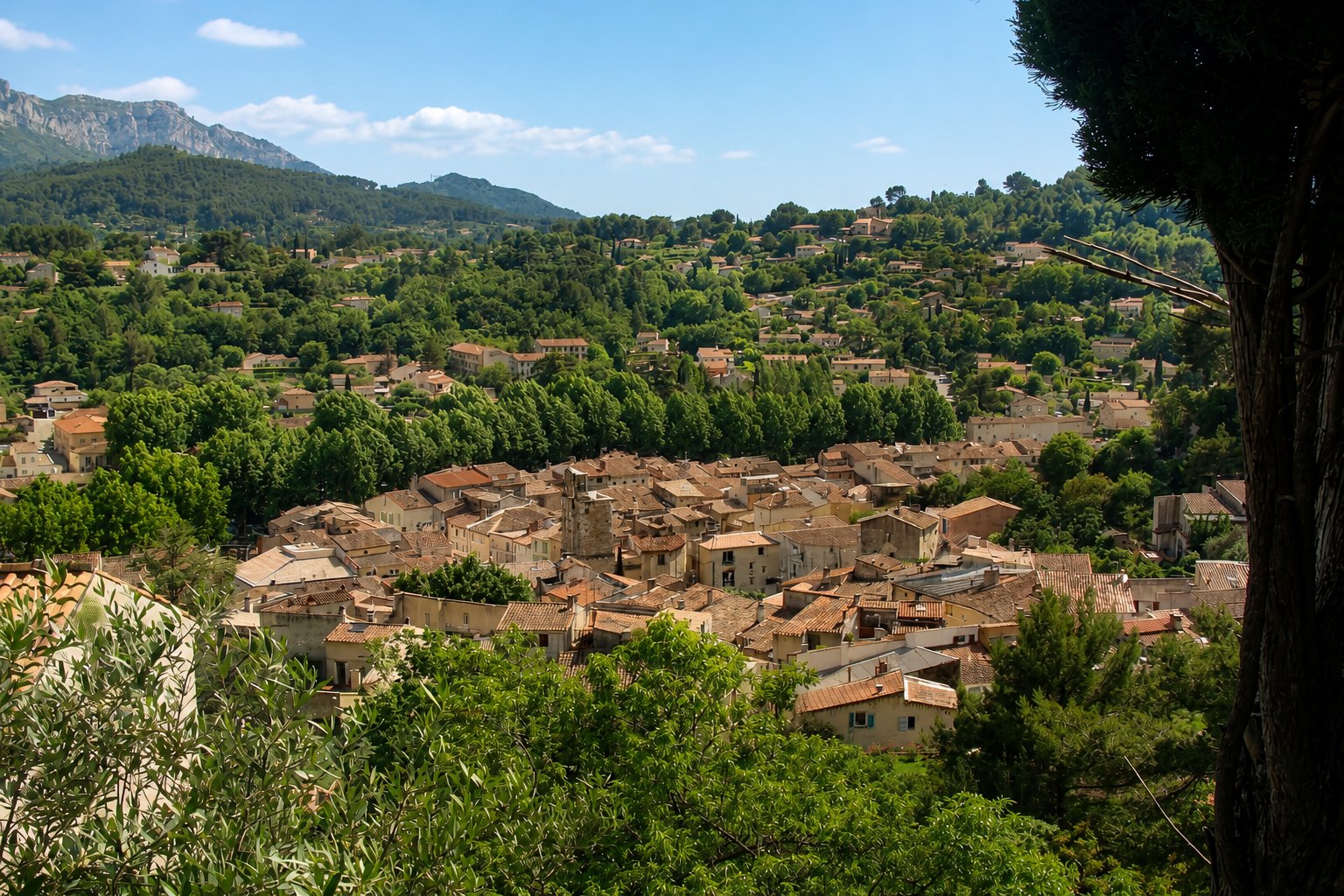 Vue panoramique de Auriol
