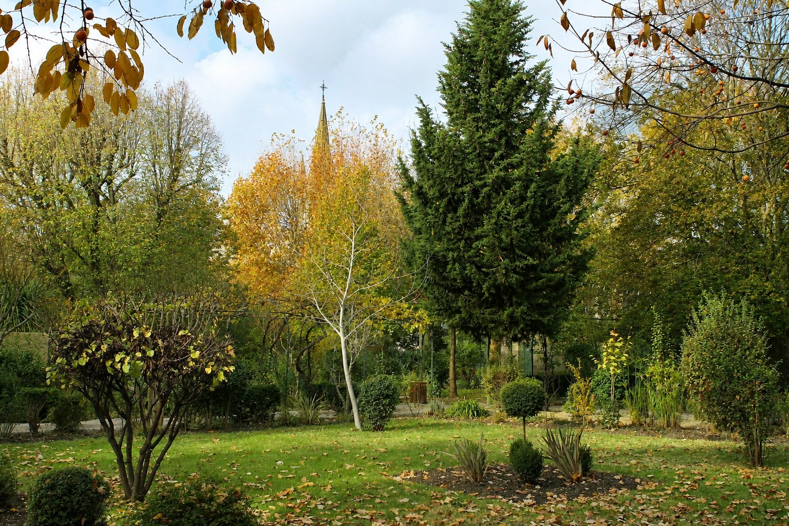 Vue panoramique de Pélissanne