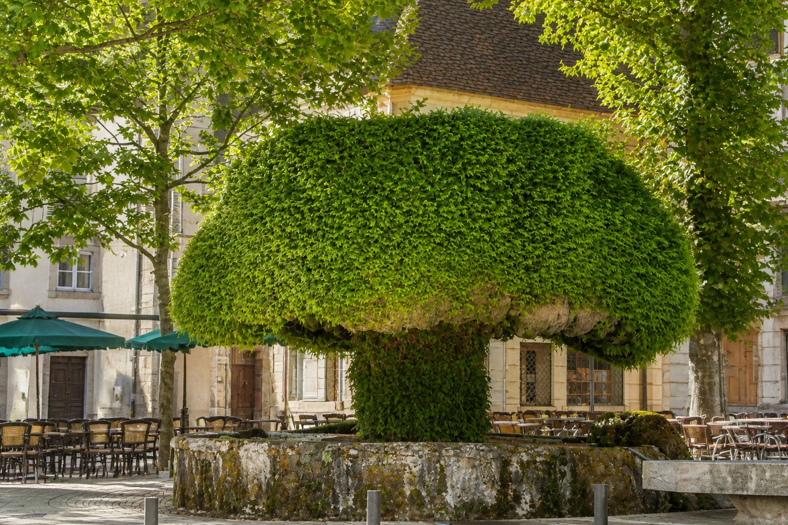 Vue panoramique de Salon-de-Provence